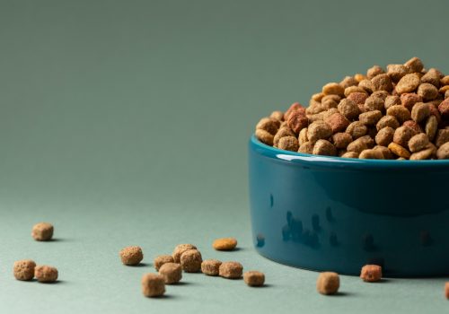 still-life-pet-food-composition